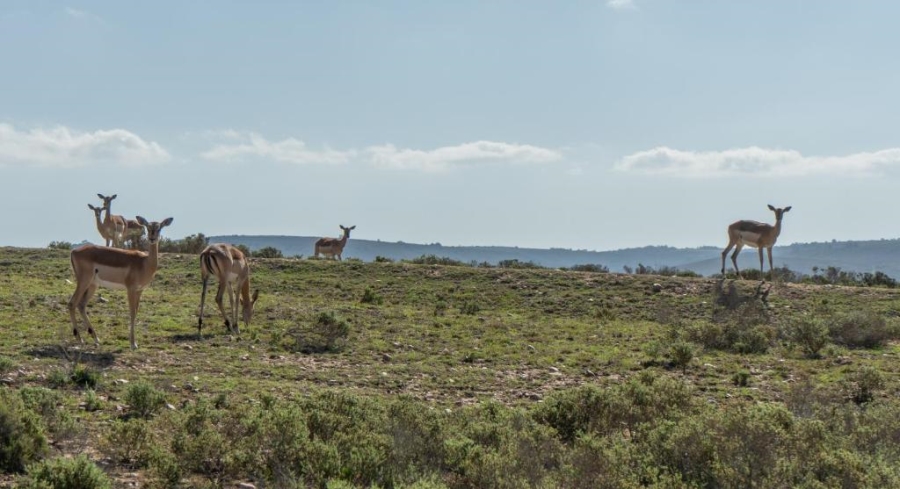  Bedroom Property for Sale in Mossel Bay Rural Western Cape